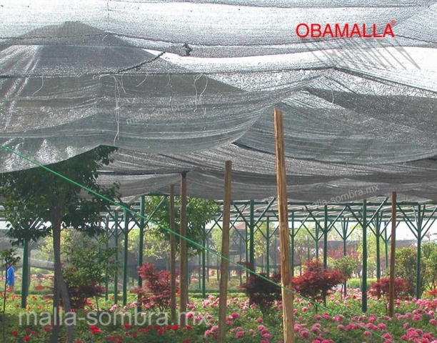 Malla sombra OBAMALLA ayuda a reducir el estrés en los cultivos de flores