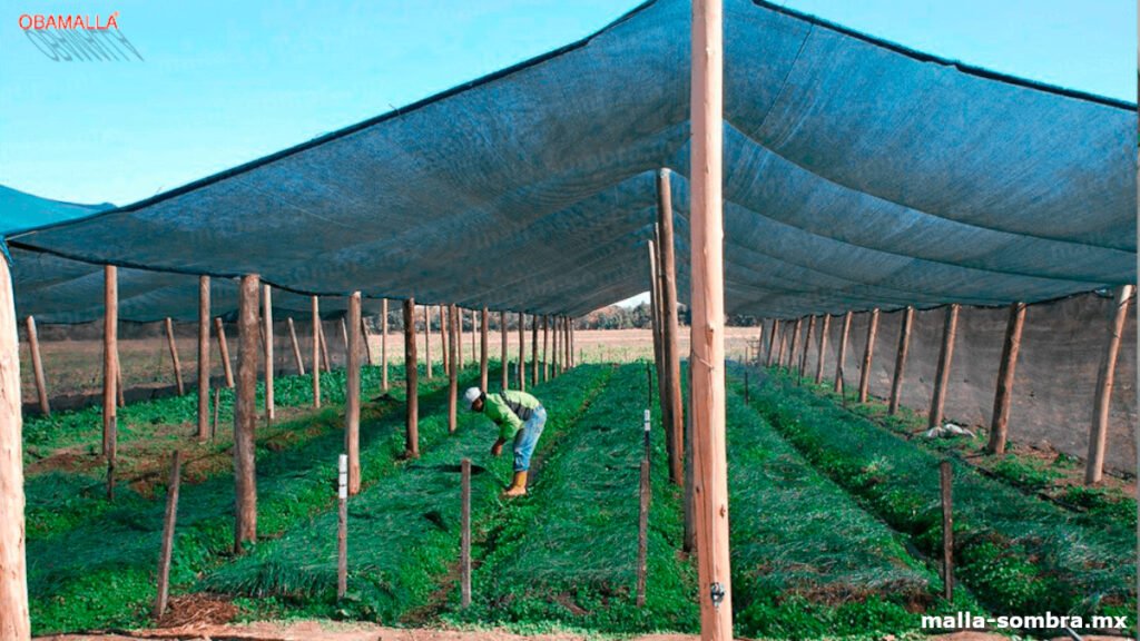 malla sombra agrícola